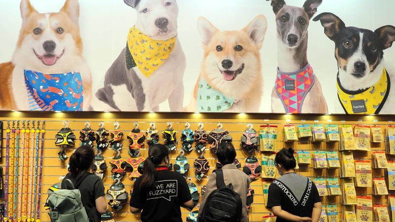 千亿市场:狗的玩具比我的多